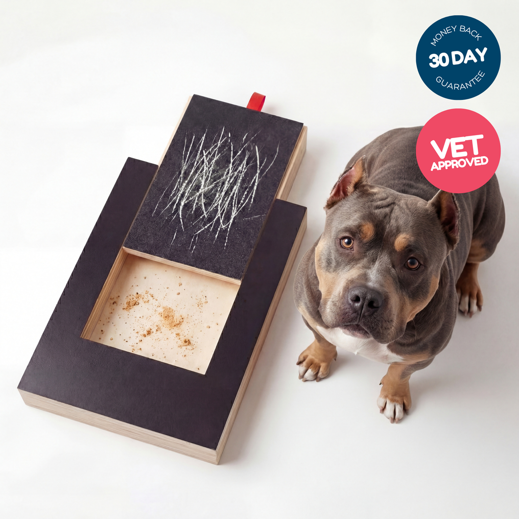 PawPlay – Nail Scratch Board