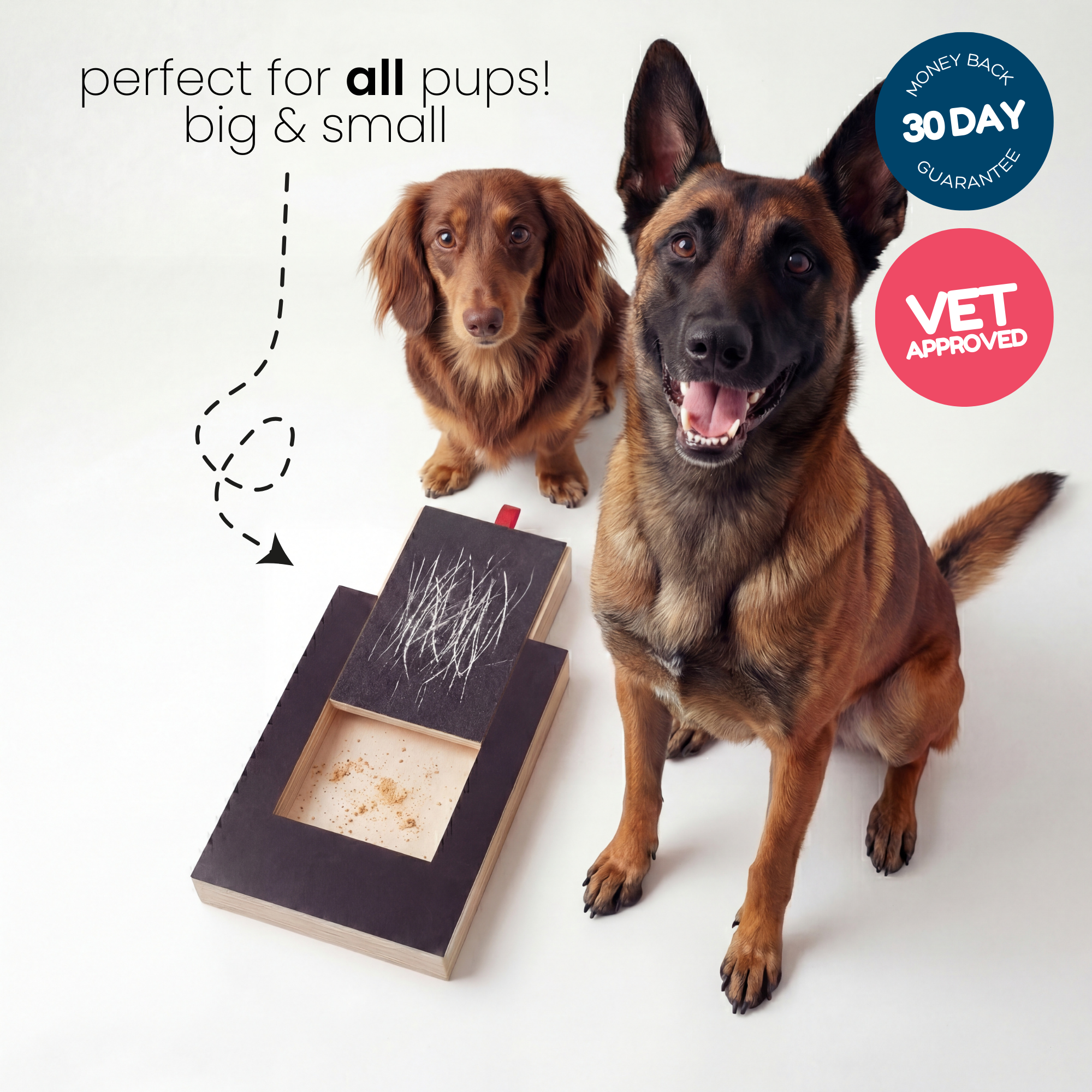 PawPlay – Nail Scratch Board