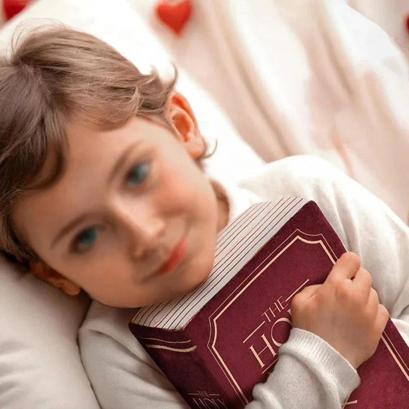 Bible Pillow